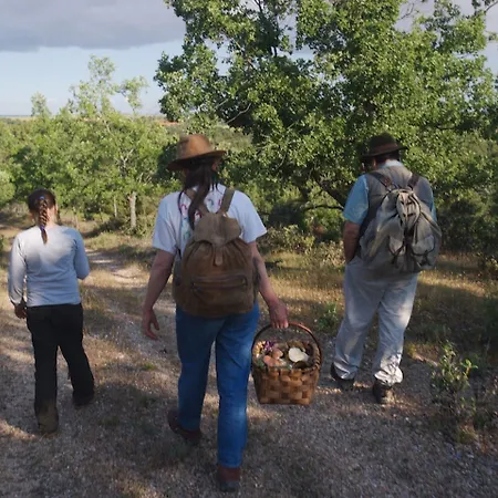 奎塔娜瑞斯旅馆 酒店 3*