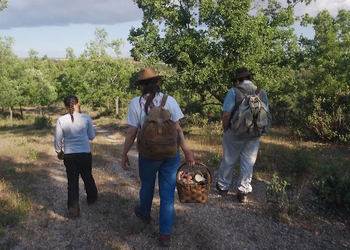 Quintanares ホテル 3*